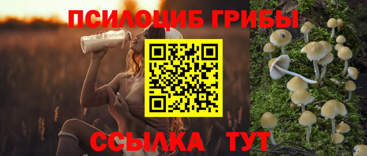 Галлюциногенные грибы Cubensis Нижнекамск